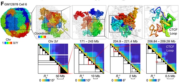 Fig f in Tan et al. 2028